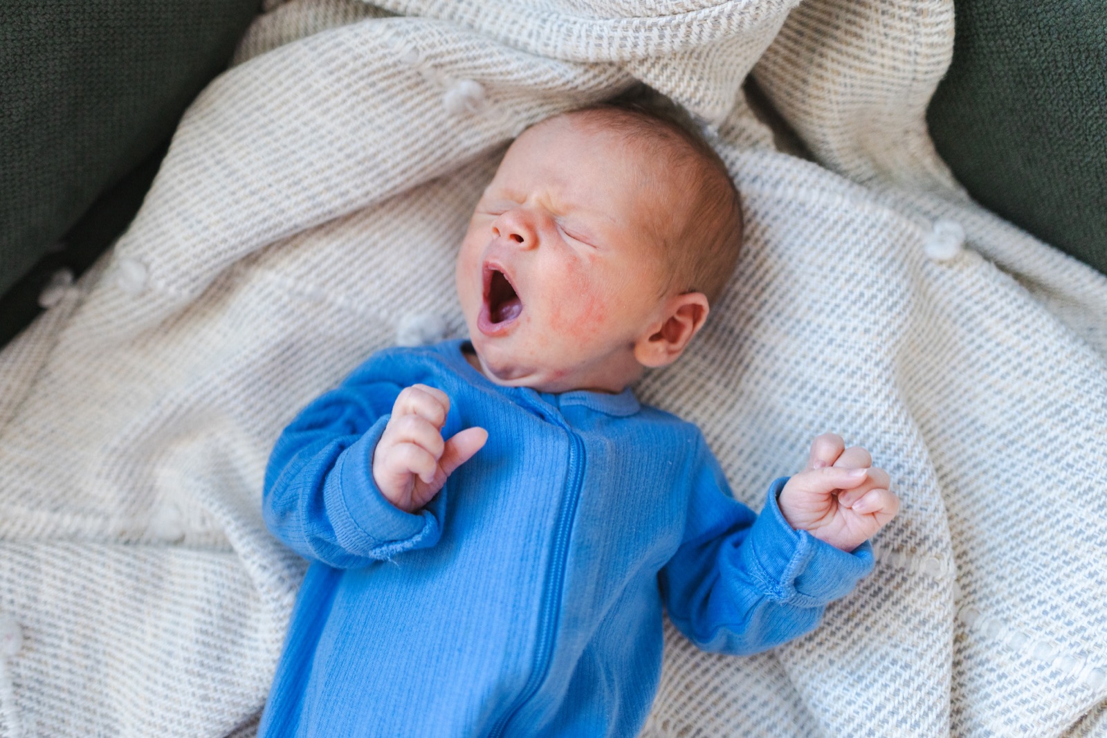 Newborn portrait
